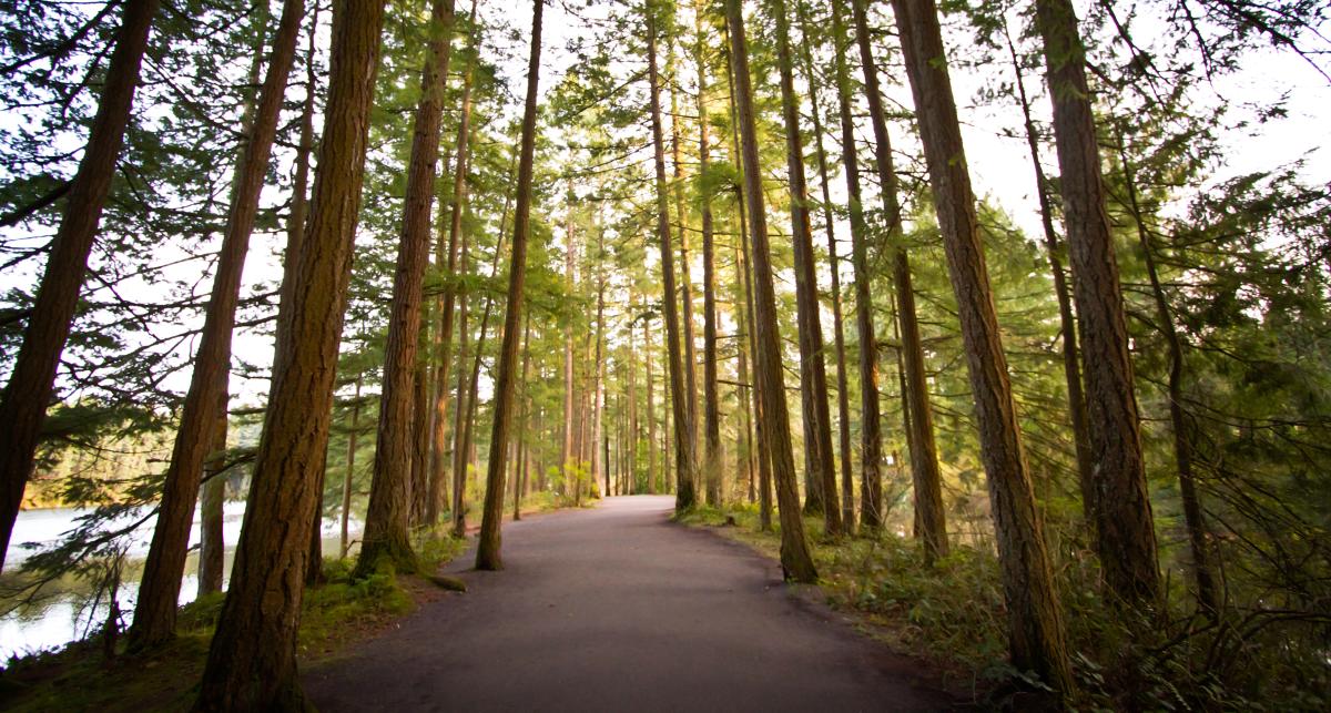 Vancouver, WA Parks & Trails Dog Parks, Bike Paths & Hikes