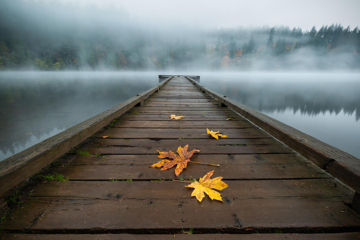 Accessible Ways to See the Fall Colors in Vancouver, WA