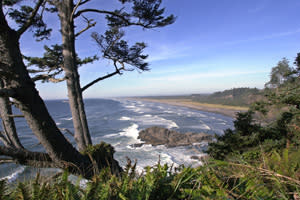 Contact Us Visit Vancouver Usa