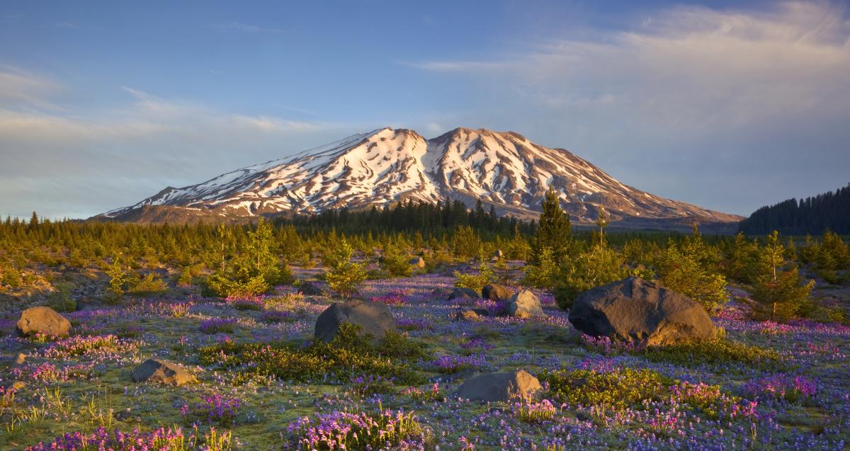 Mount St. Helens Vancouver, WA Regional Attractions