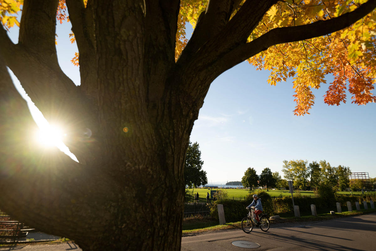 Things To Do in Burlington, Vermont | Attractions, Outdoors & Arts