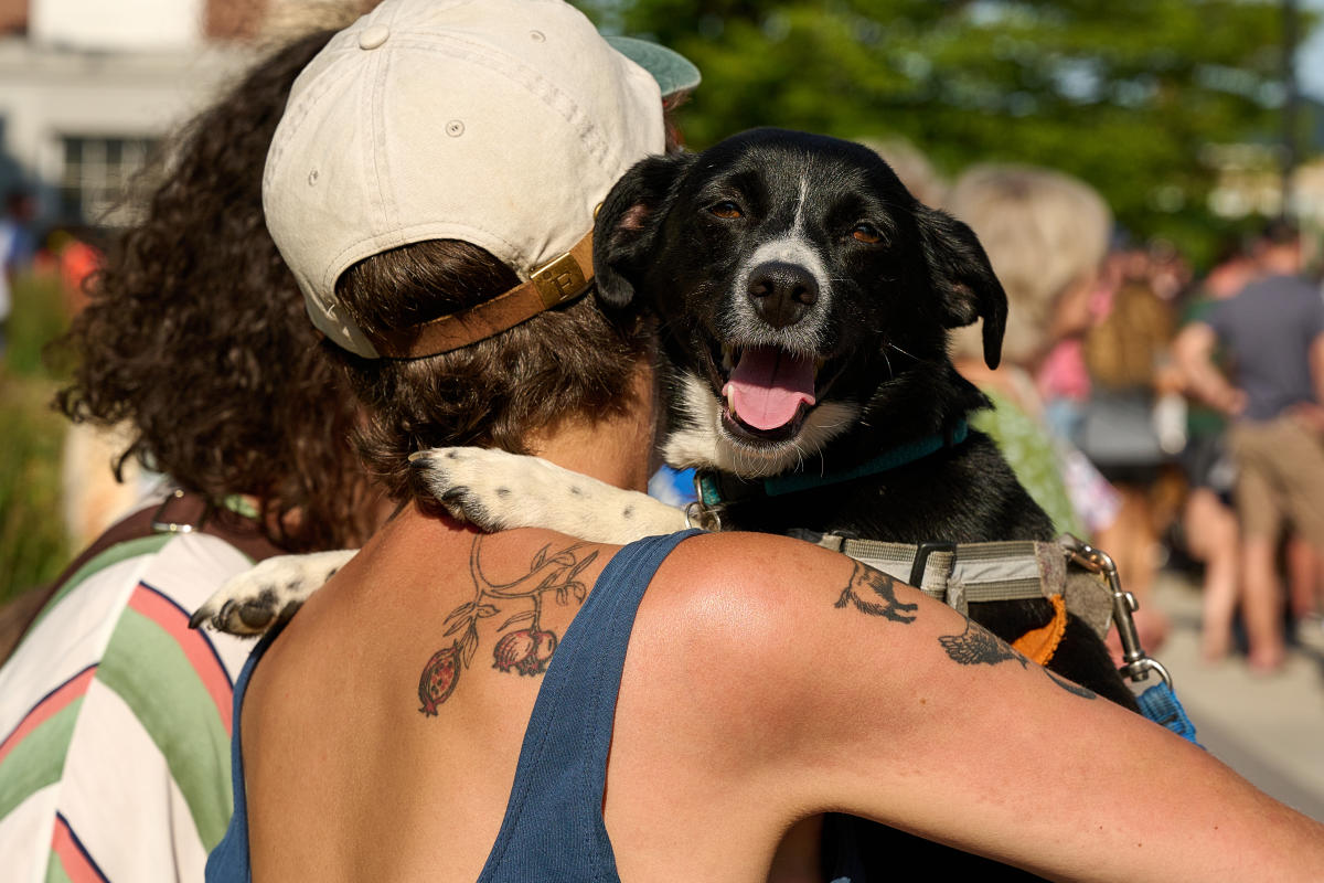 Burlington VT Pet Friendly Hotels