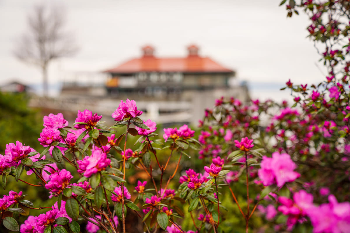 Vermont Is Spring April Showers Bring.. A Vermont Promise of what's to come | Spring in ...