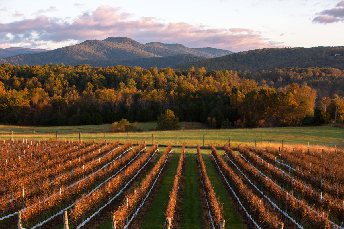 SVS: Autumn Around the Chesapeake Bay