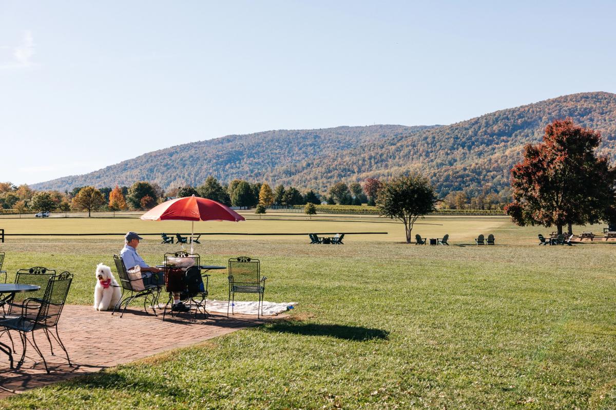 The Complete Guide to Visiting Charlottesville, Virginia