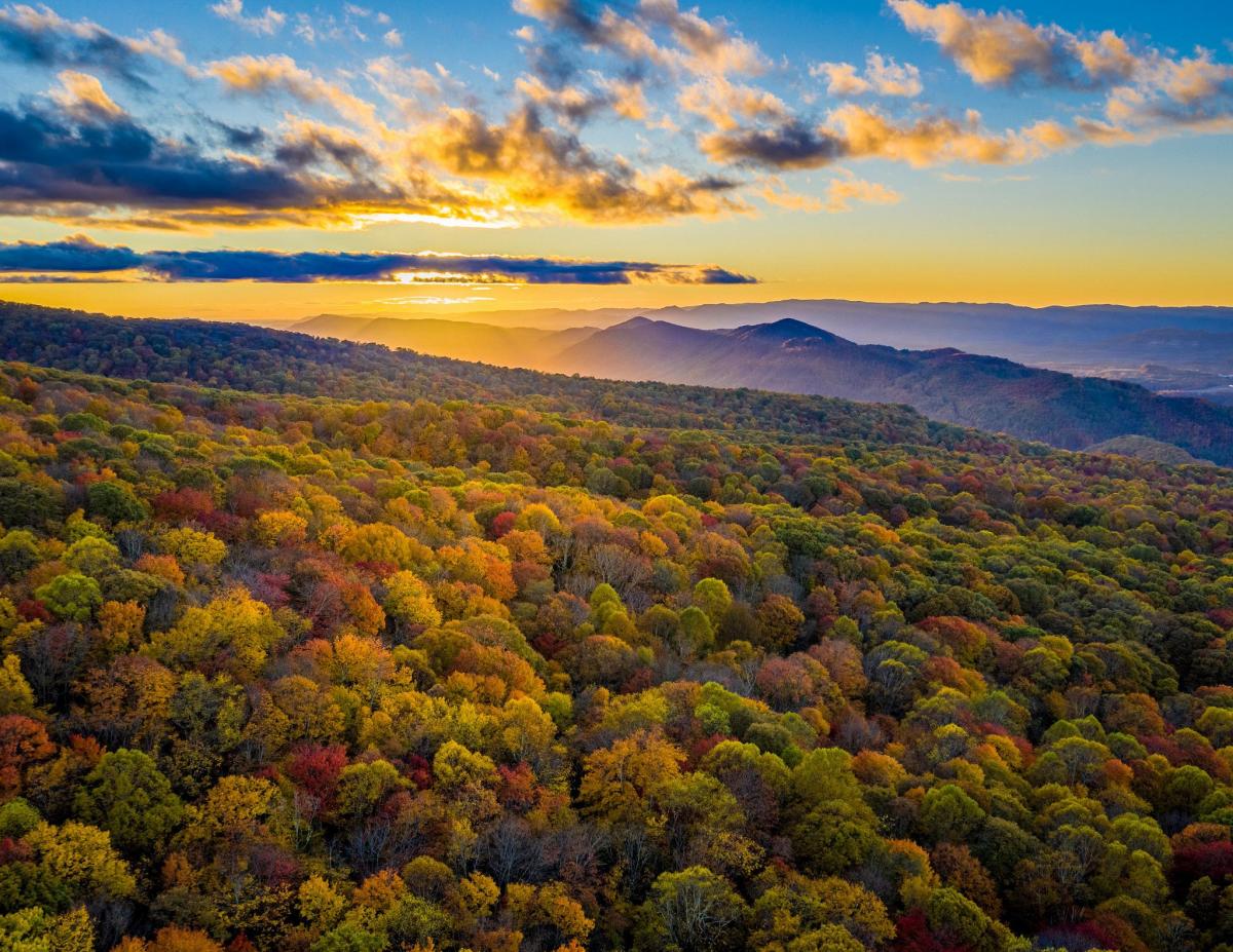 Outdoor Activities - Virginia Is For Lovers