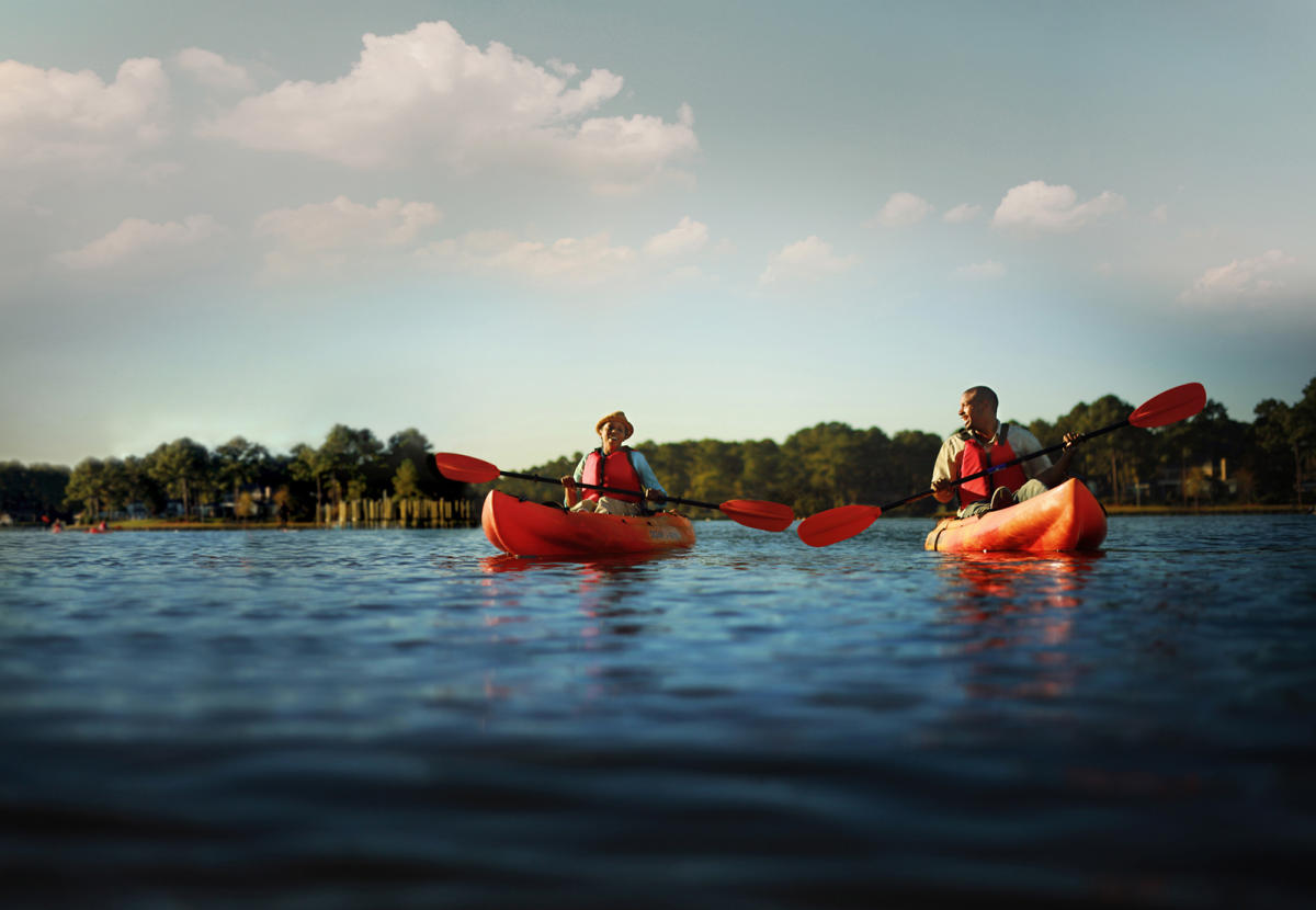 Virginia Beach Tours See Dolphins Whales Amp Historic Sites