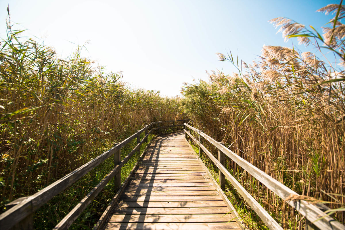 Hiking, Biking & Recreation Trails in Virginia Beach