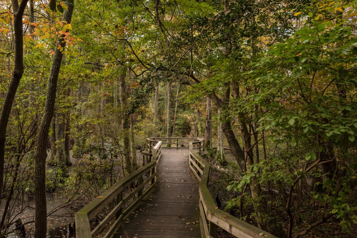 6 Can't-Miss Fall Experiences in Virginia Beach