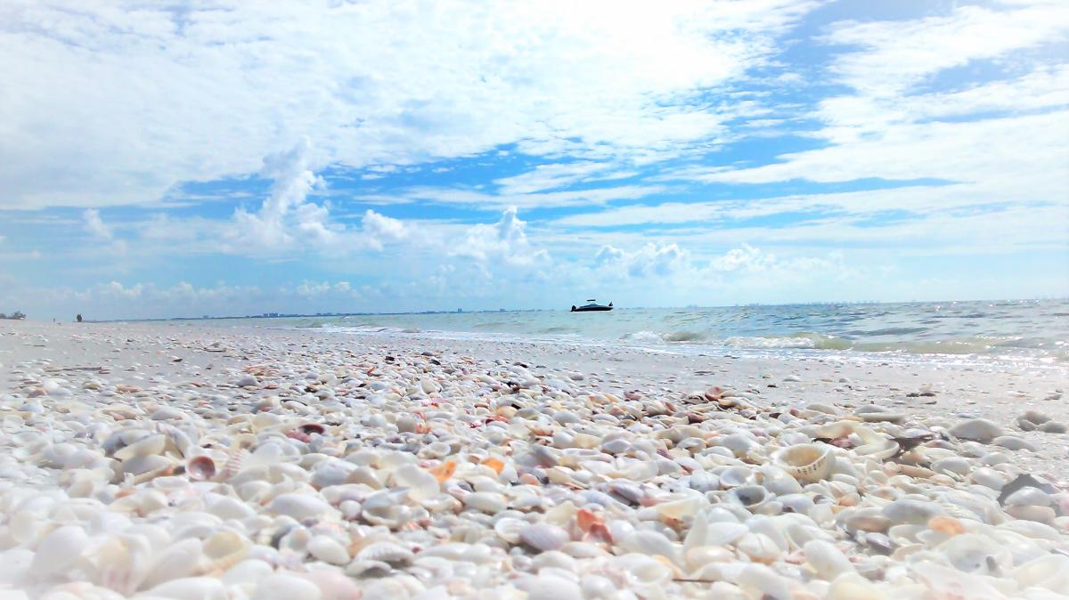 Top spots for a seashell treasure hunt on the Gulf Coast