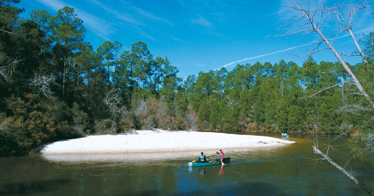 Paddling in Coldwater Creek