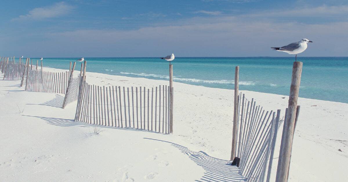 Guide To Beaches In Pensacola FL VISIT FLORIDA Guide To Beaches In Pensacola FL VISIT FLORIDA