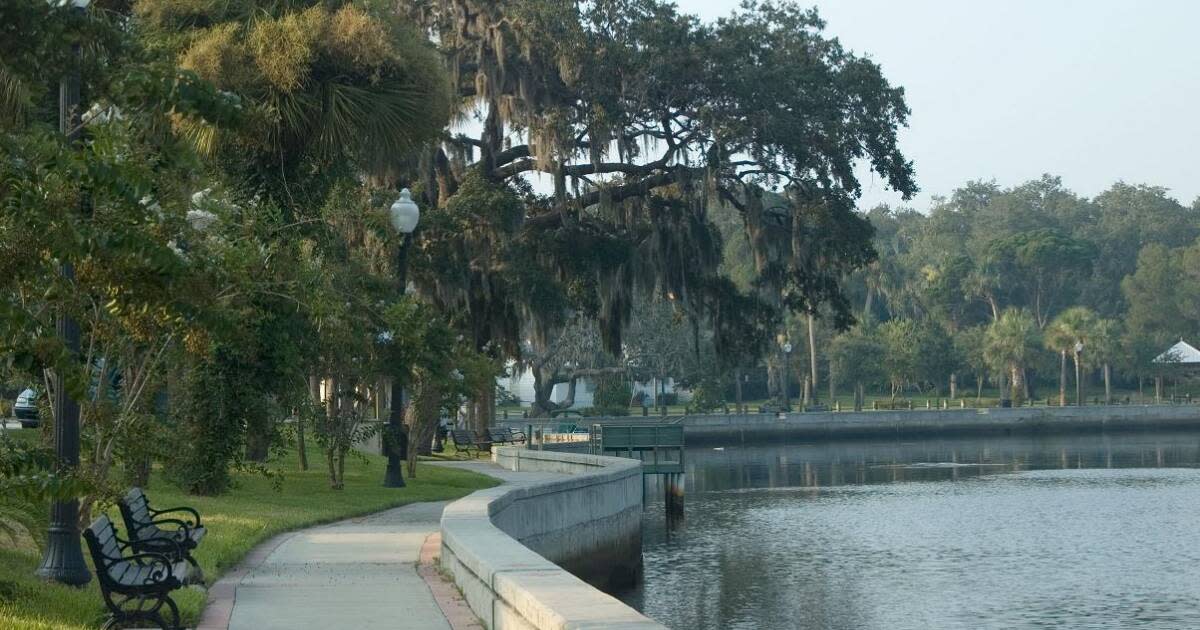 James Grey Preserve Wilderness in the Heart of New Port Richey