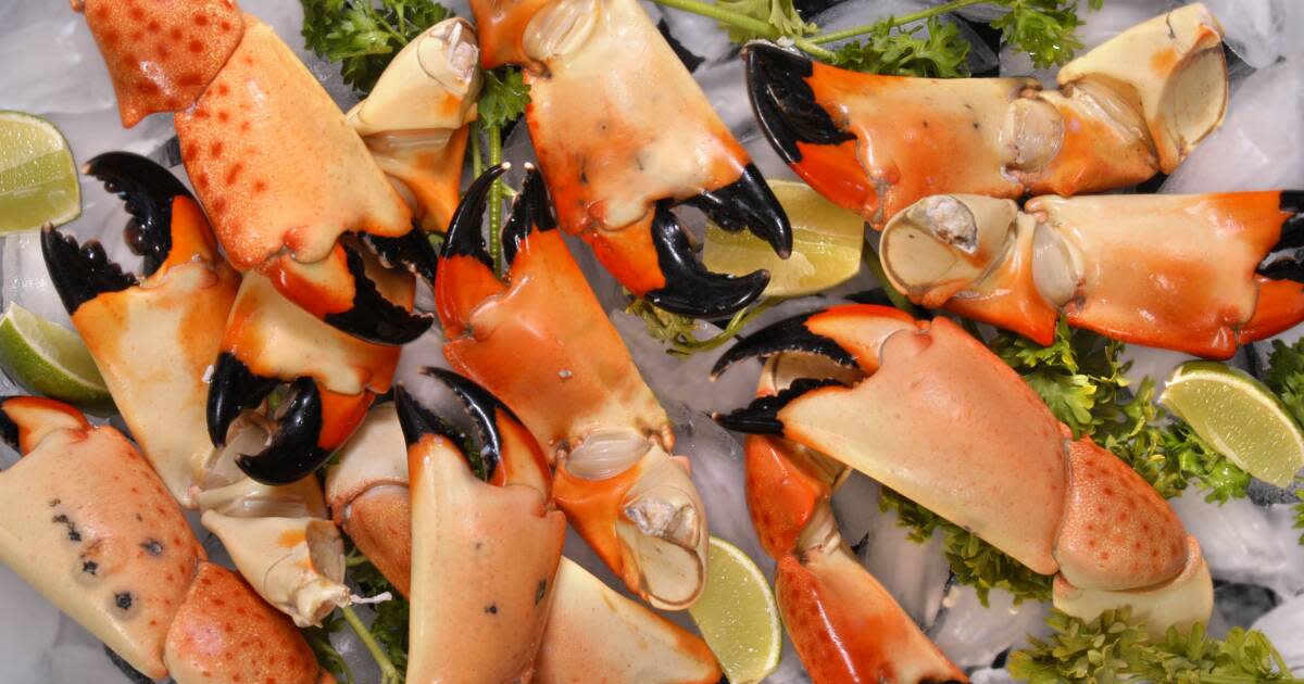 How & Where to Catch Stone Crabs in Florida