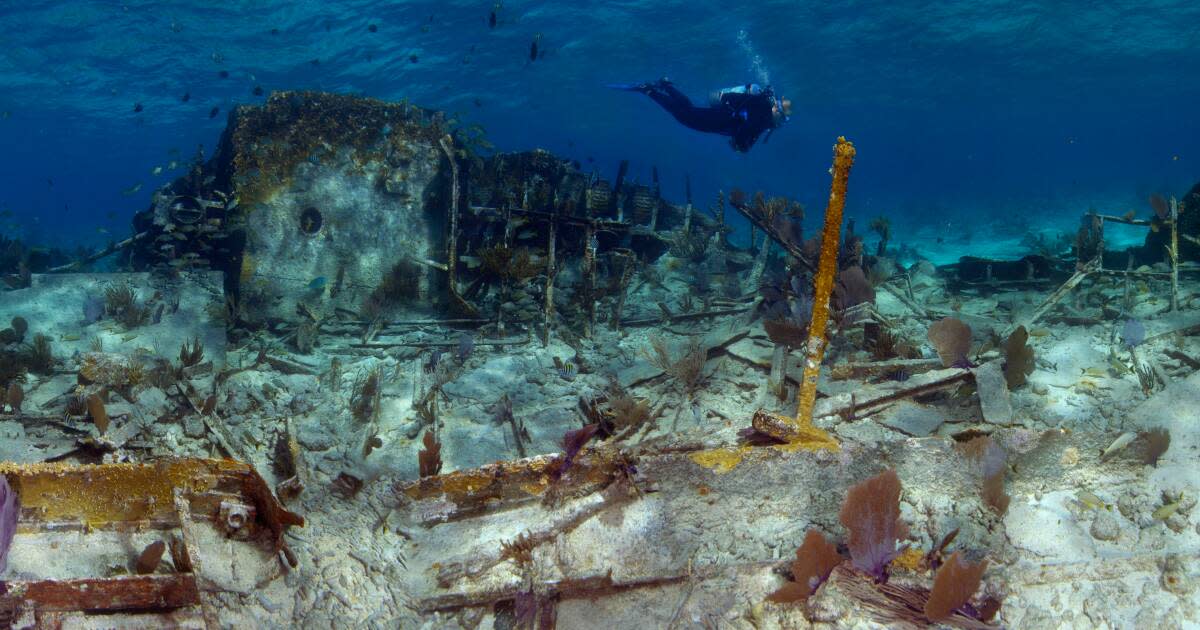 Biscayne National Park Diving The Maritime Heritage Trail at the Keys