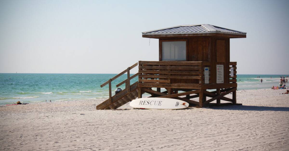 Spotlight on Sarasota