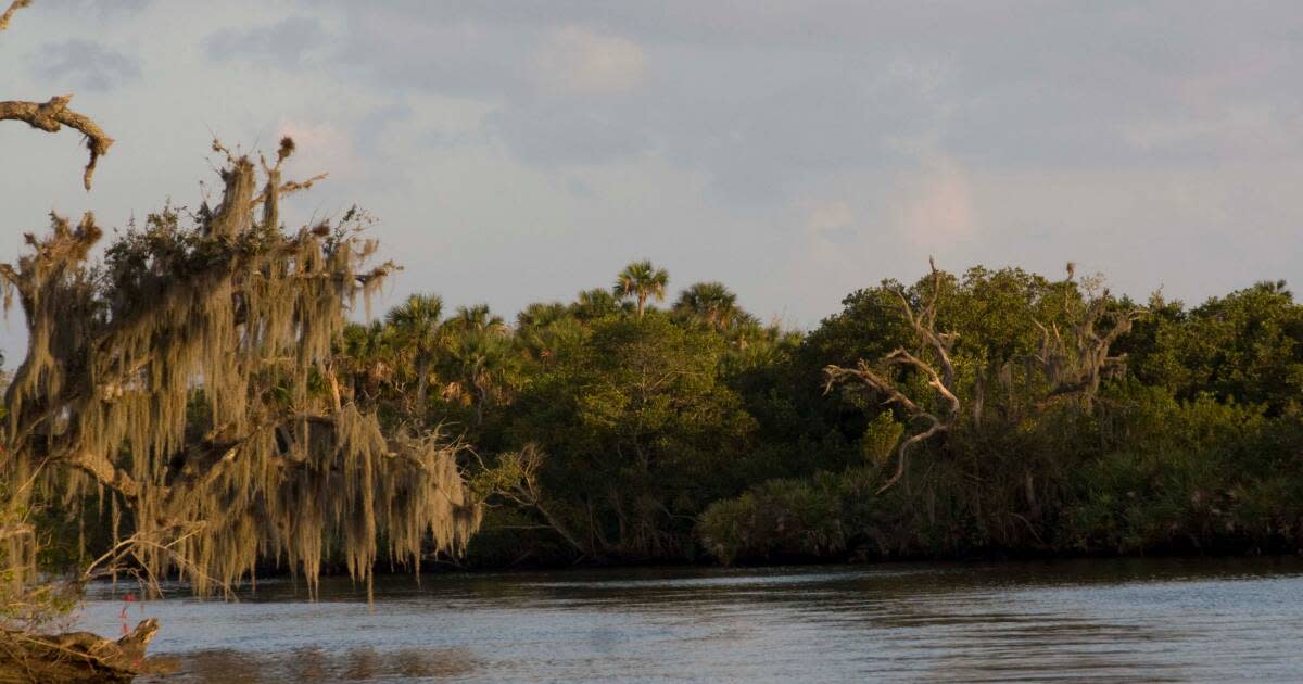 St. Lucie River Fishing a Hidden Coast Gem in North Fork