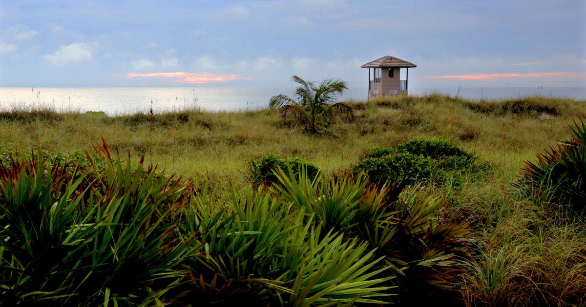 Delray Beach Natural Attractions Wetlands, Parks & More