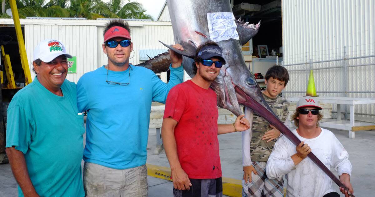 Swordfish in Florida Gladiators of the Deep Sea