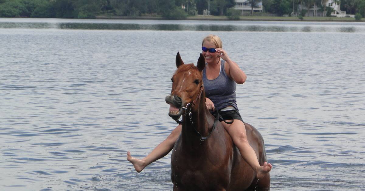 Horse Boarding in Bradenton, FL VISIT FLORIDA