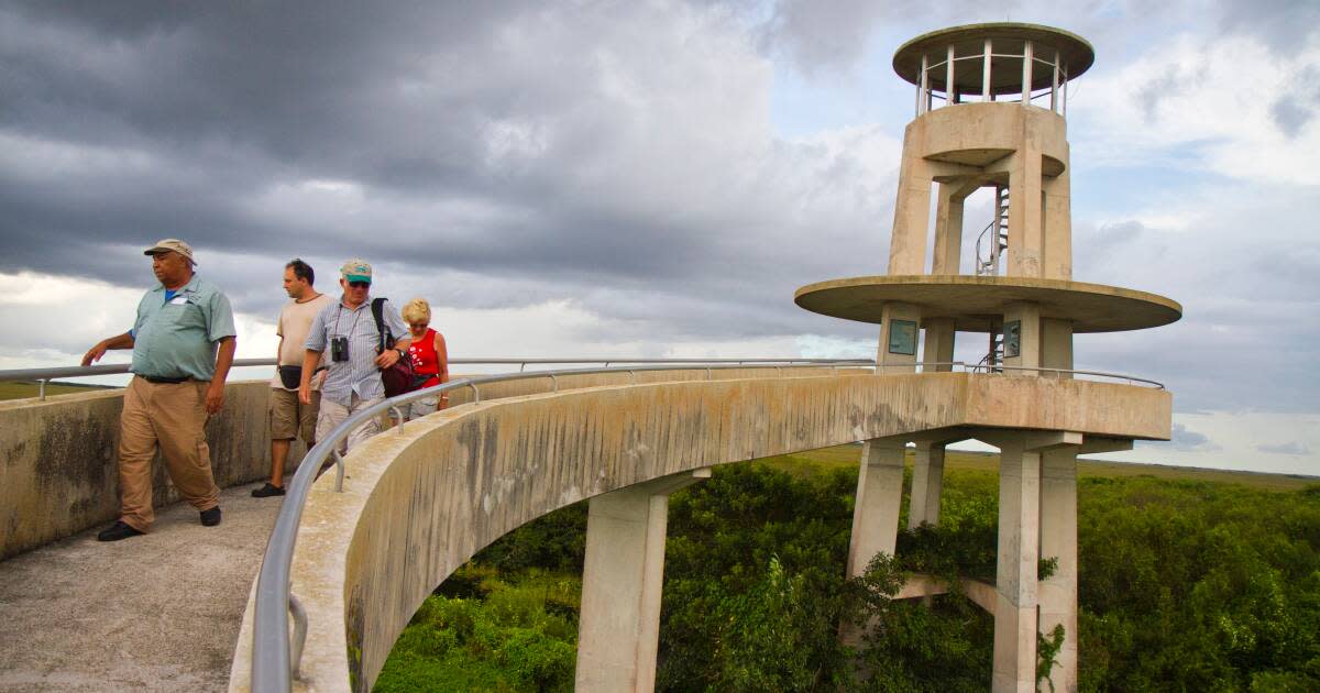 The Shark Valley Tram Tour in Everglades National Park ...