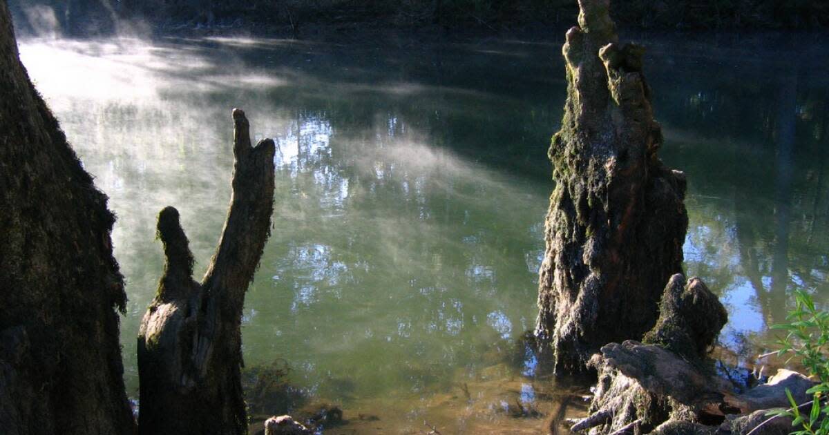 Wewahitchka and the Dead Lakes of North Central Florida