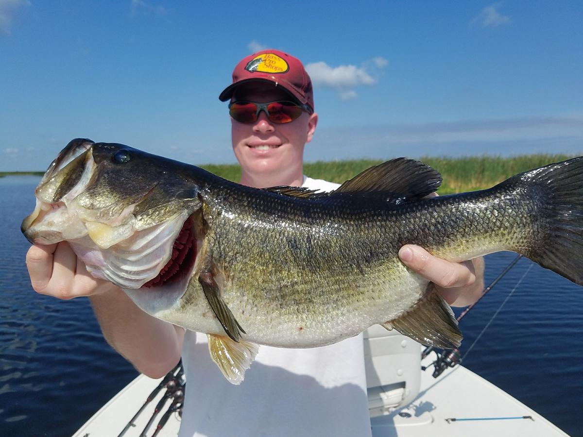 The Bass Fishing Guide Download-html.pdf - Ebooks Download
