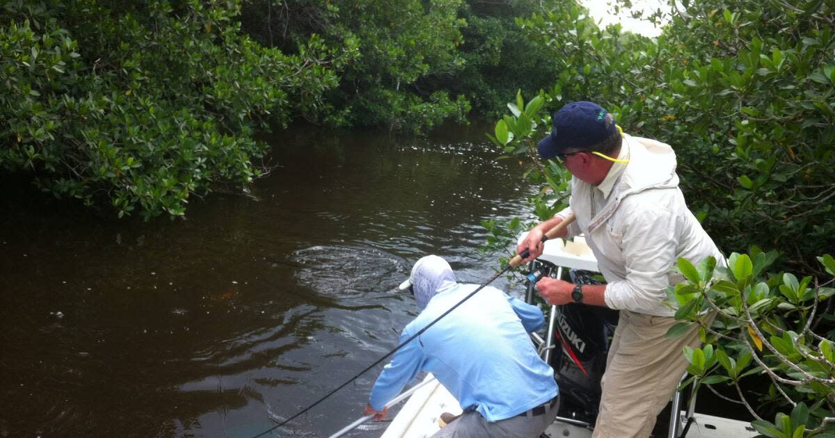 Top 5 Florida Adventures for Fresh or Saltwater Fishing