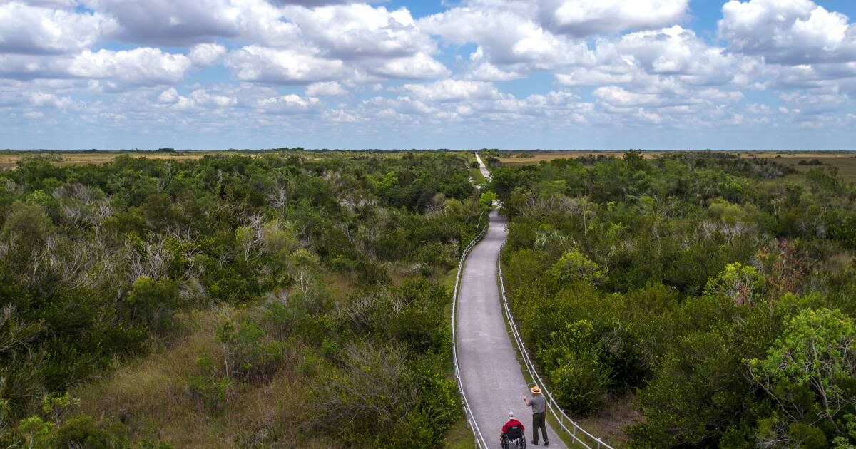 Accessible Travel Shark Valley in the Florida Everglades