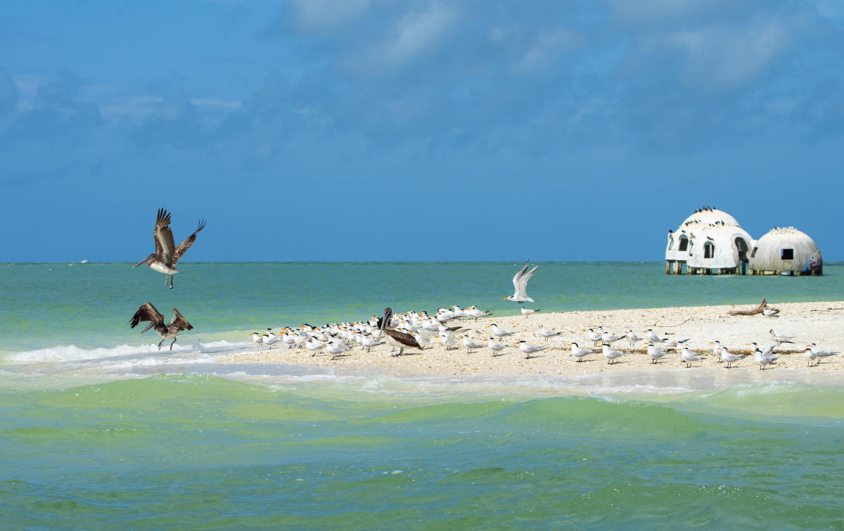 best places to visit gulf of mexico