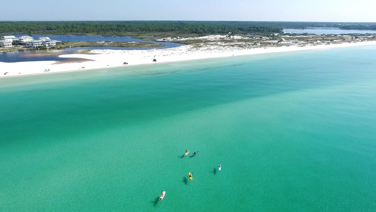 Beach Guide: Grayton Beach State Park -- Pristine Sands and Nature Trails