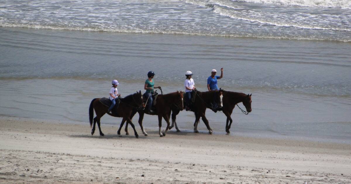 Where to Find Beach Horseback Riding in Florida