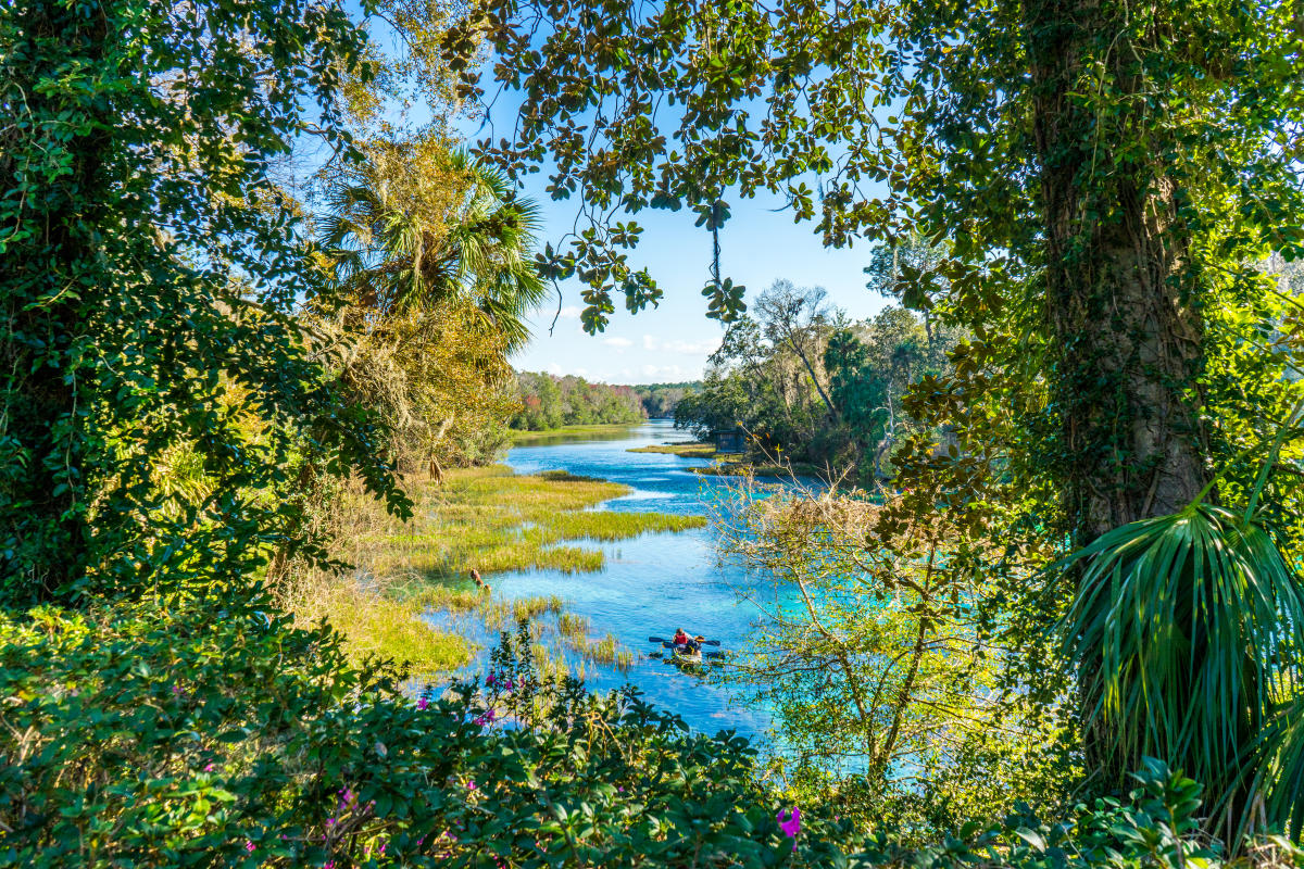 El parque estatal Rainbow Springs el cuarto manantial más grande de la