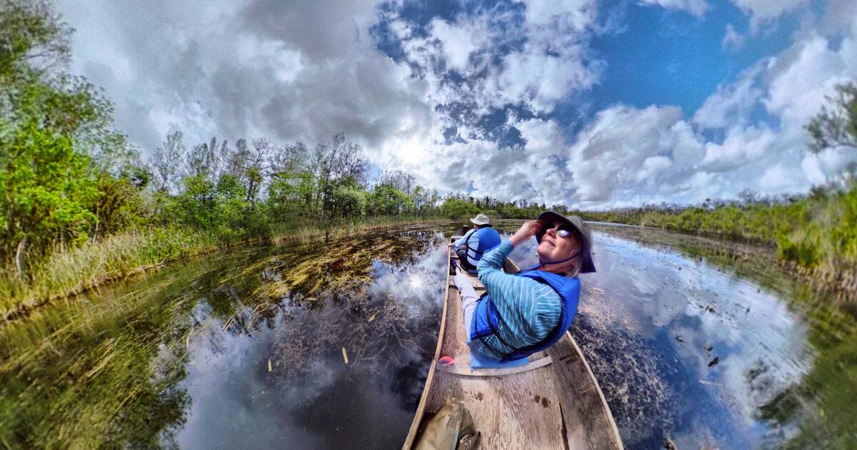 Everglades City EcoTours, Kayaking, Fishing & Fun