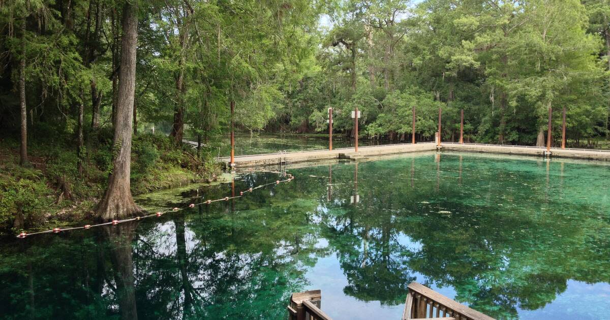 Gilchrist County Florida Blue Springs, Woods and Quilts