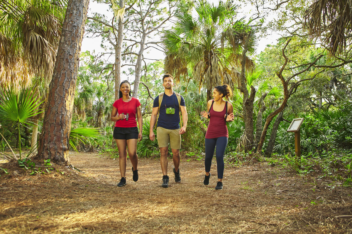 Trails in Florida: Hiking, Biking, and Paddling