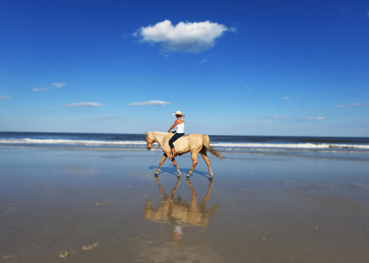 Florida Day Trips Ideas To Make The Most Of A Day In Florida Florida Day Trips Ideas To Make The Most Of A Day In Florida