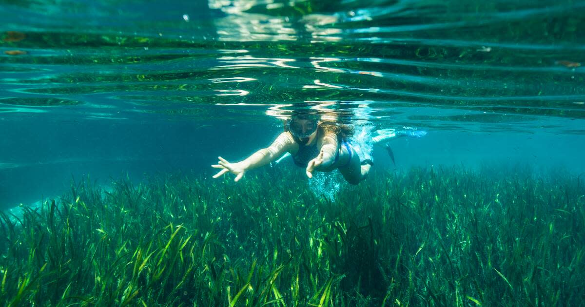 Adventure Activities in Orlando | VISIT FLORIDA