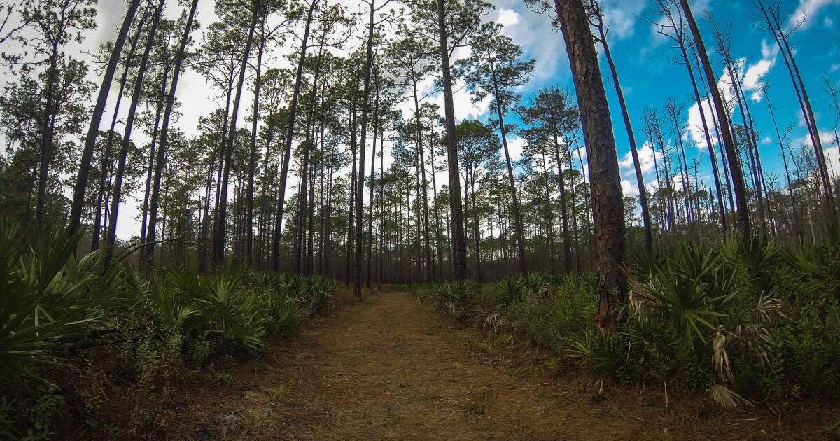 Florida's Baker County: Back Roads, Backwoods, Rich History