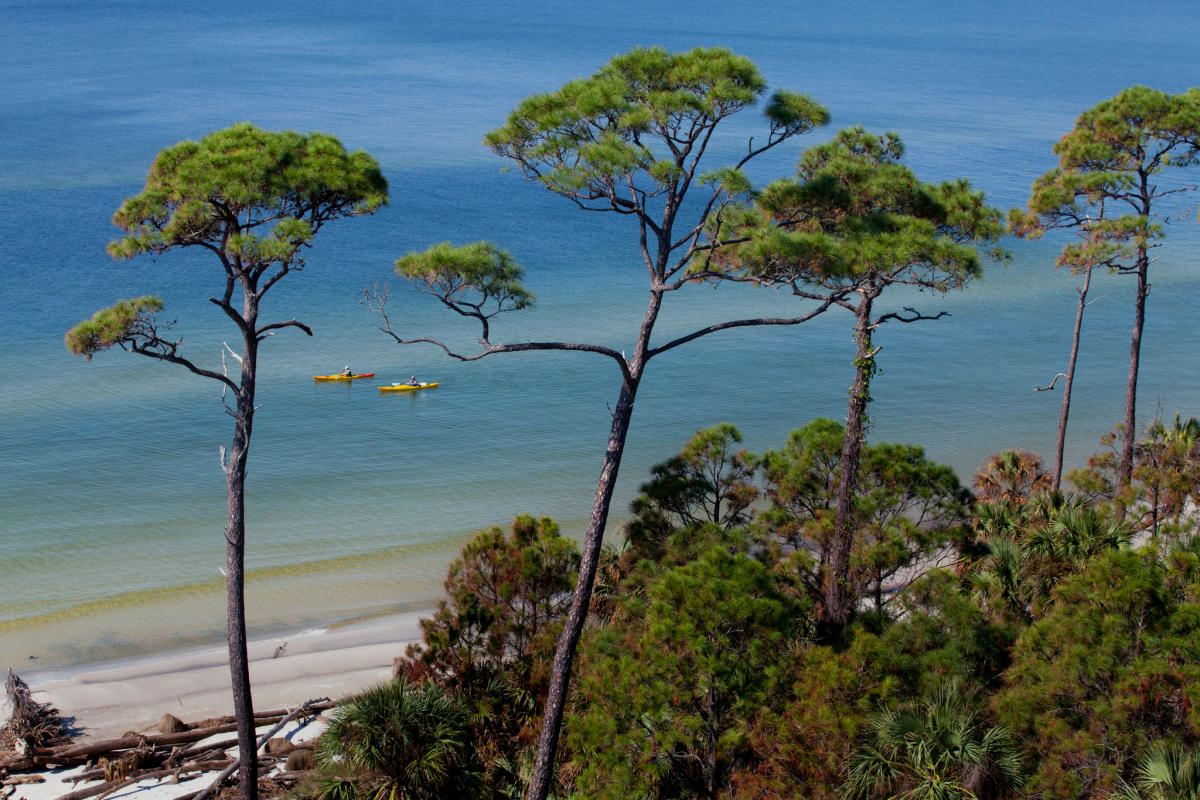 Beach Guide: Port St. Joe - Family Paradise by the Lighthouse