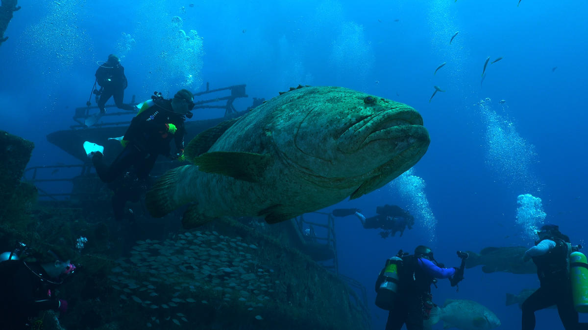 Vero Beach Florida - Attractions & Things to Do