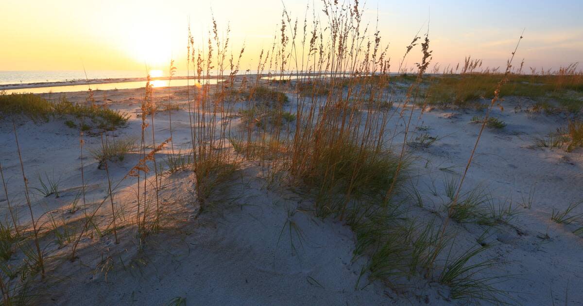 Day Trips from Tallahassee: The Blues, Springs, Caves - Visit Florida