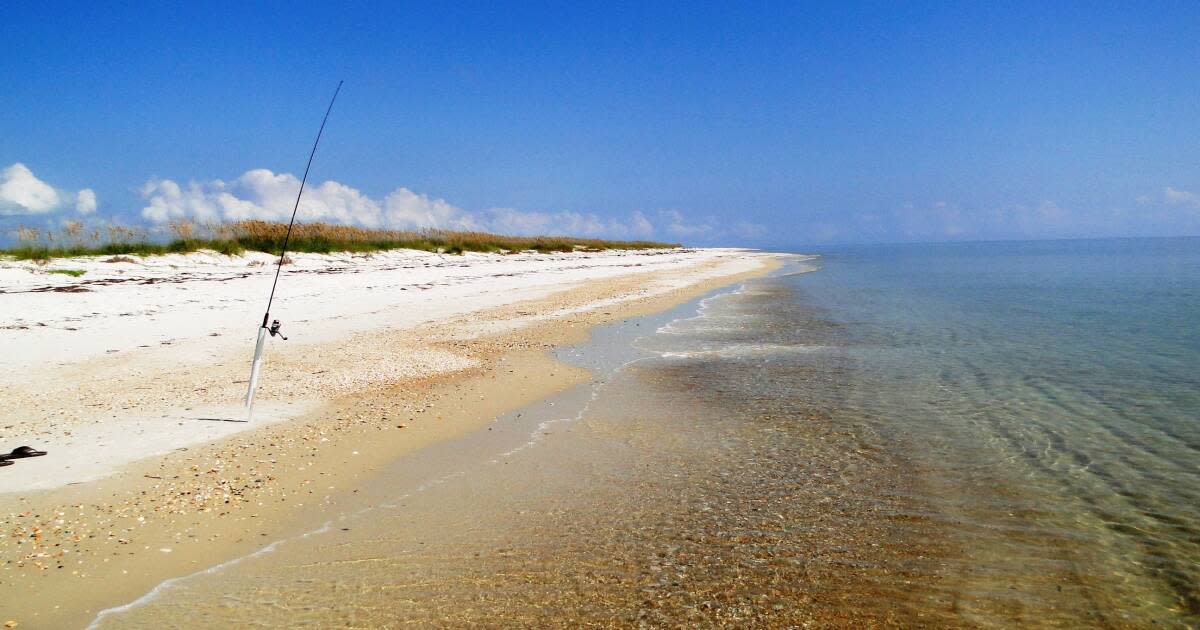 Top 5 Florida Islands for the Perfect Staycation