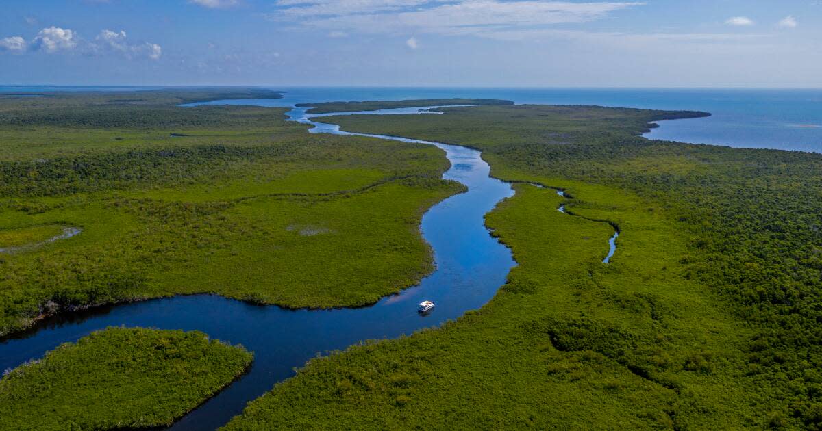 Accessible Travel Key Largo Water Adventure VISIT FLORIDA