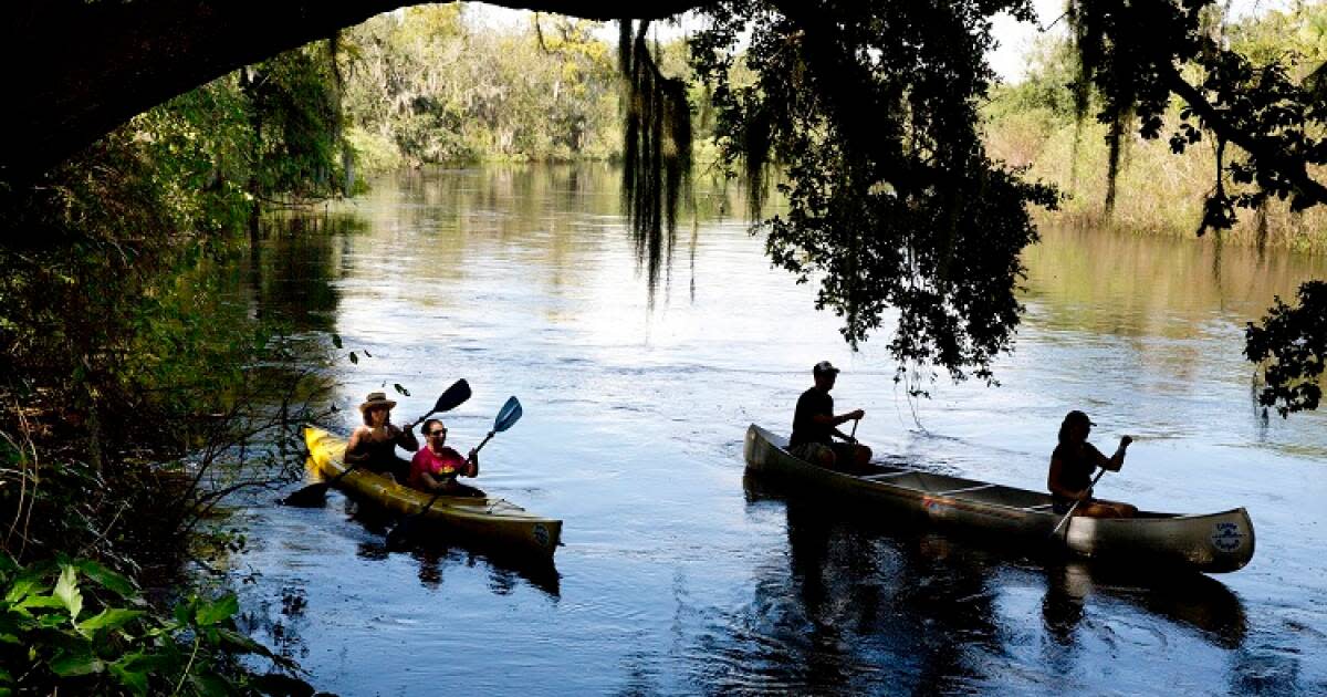 Arcadia FL Antiques & Wildlife VISIT FLORIDA