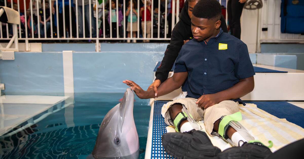 Clearwater Marine Aquarium: Anything but Ordinary
