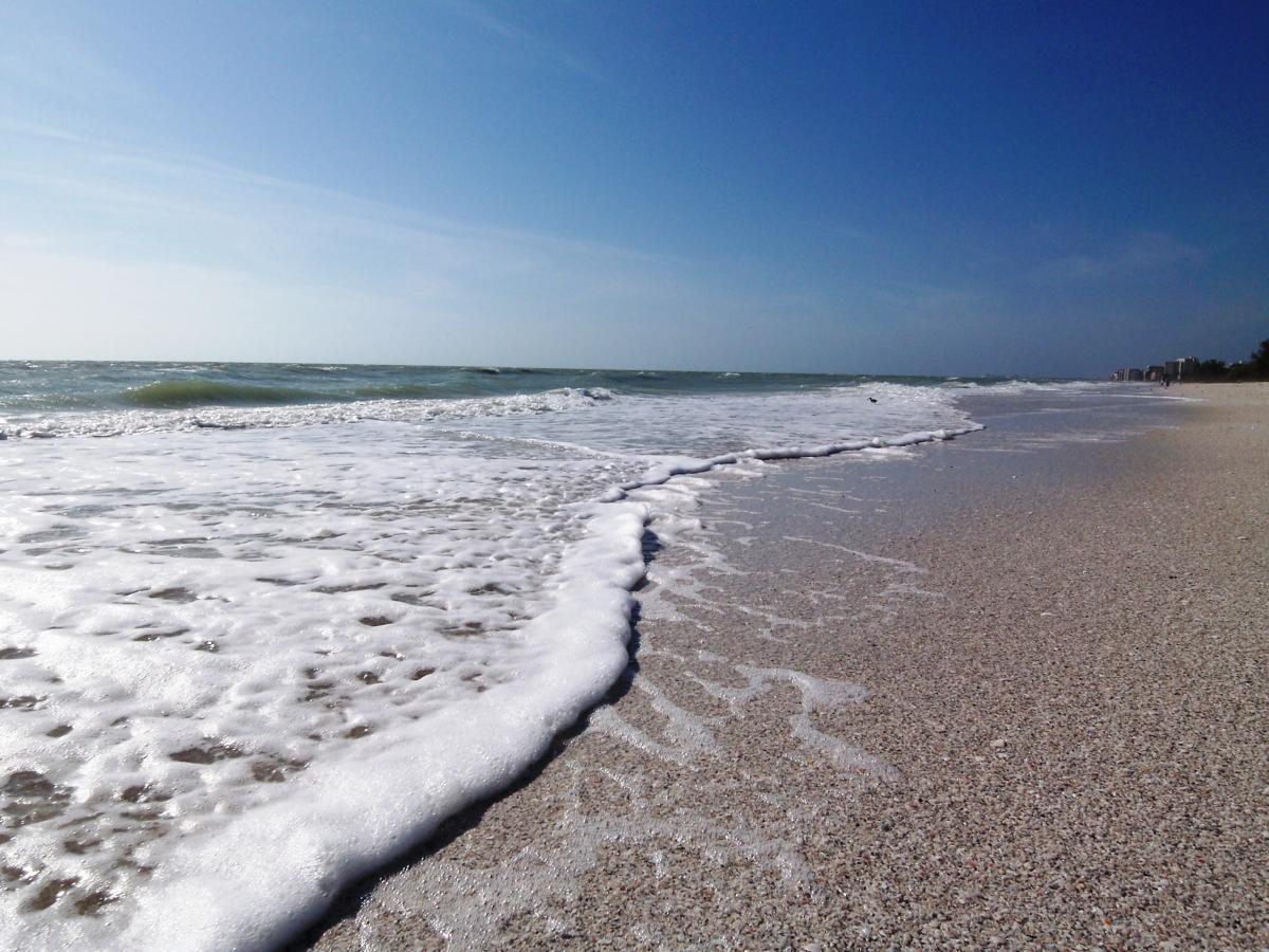 Beach Guide: Barefoot Beach Preserve in Naples