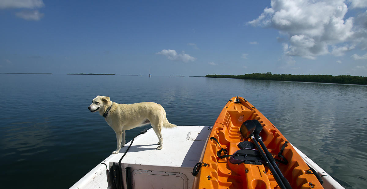 Big Pine Key Florida Things to Do & Attractions