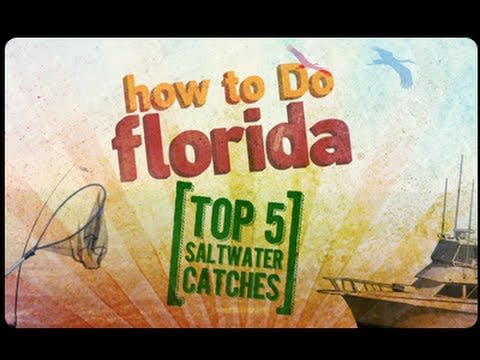 6-Month Florida Fishing Calendar | VISIT FLORIDA