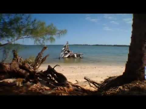 Video: An Inside Look at Indian River Lagoon Camping